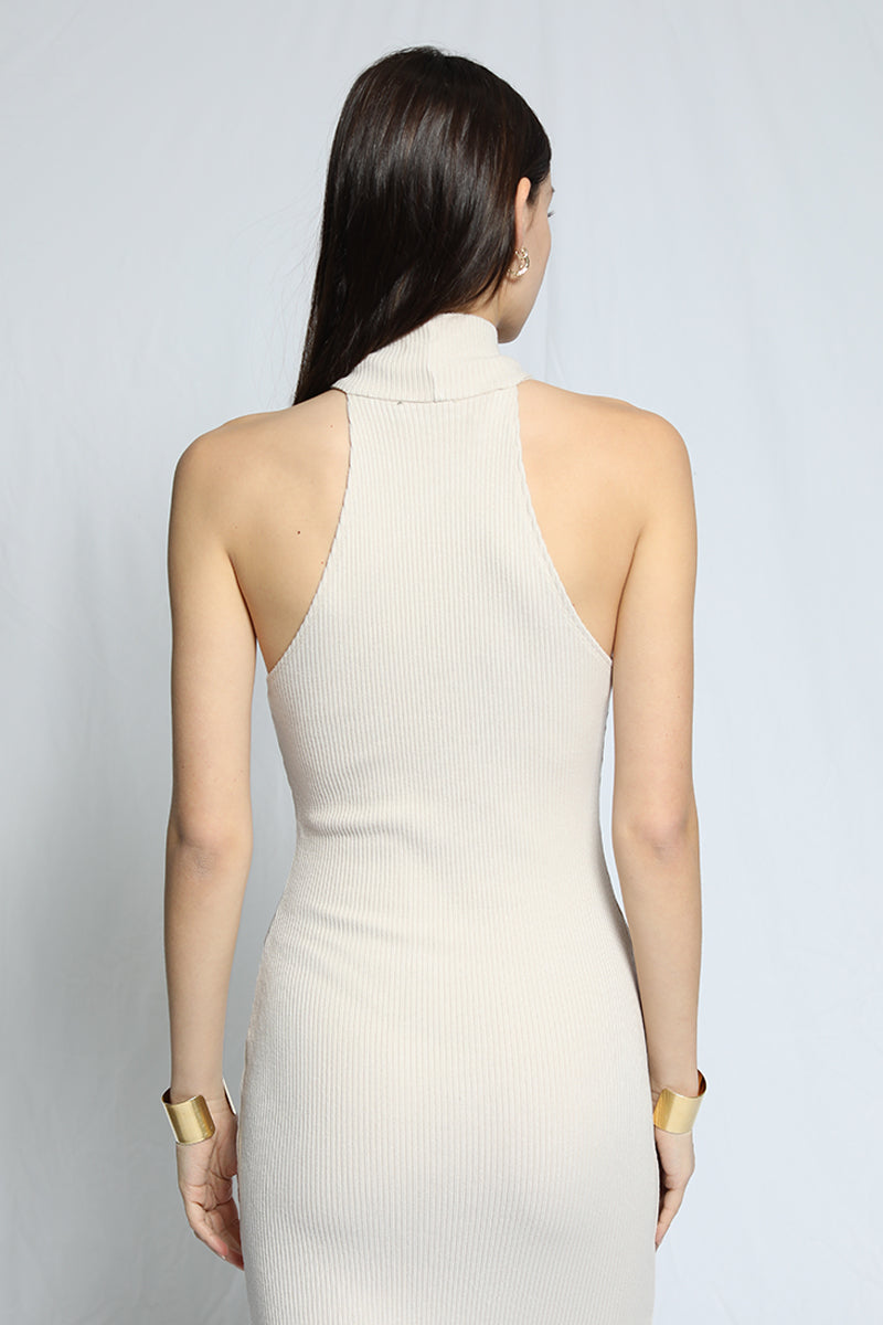 turtleneck sleeveless sweater dress